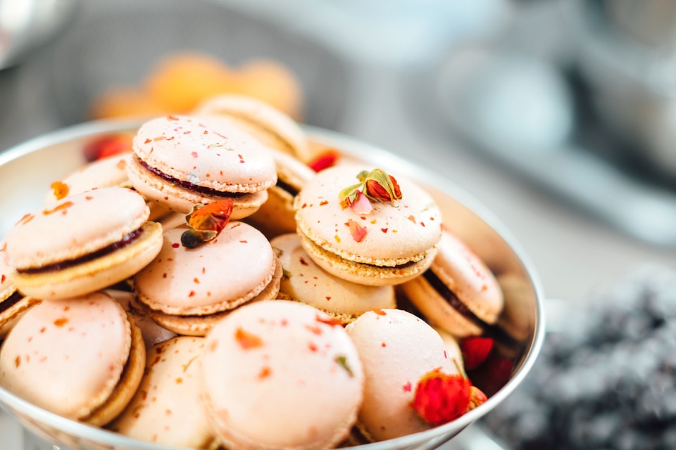 Biscuit chocolate cookies photo