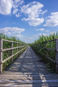 Countryside fence focus