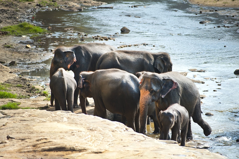 Baby environment family