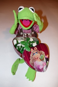 Gummibärchen rubber frogs box