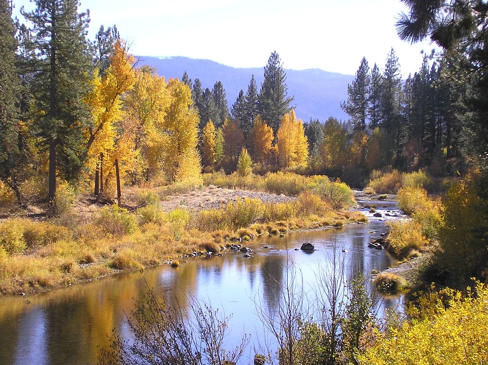 Landscape nature river
