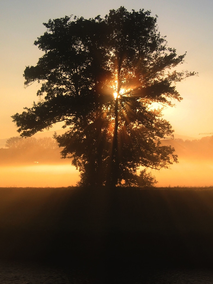 Nature silhouette sky photo