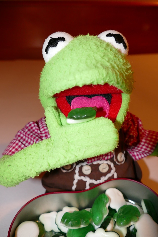 Gummibärchen rubber frogs green
