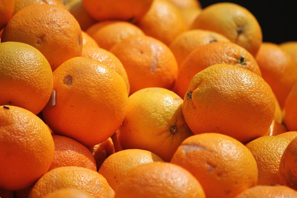 Beautiful Photo food oranges