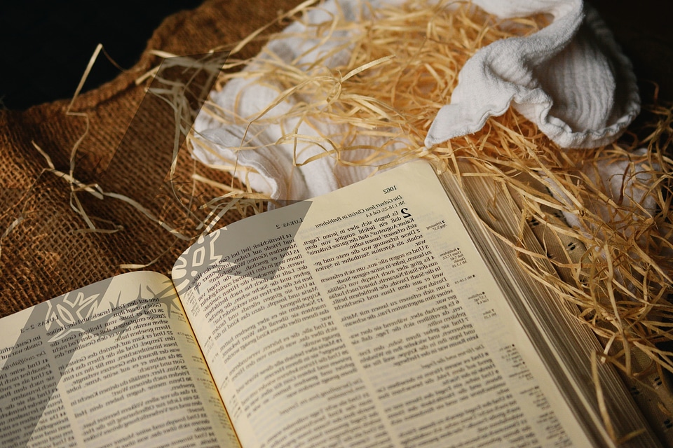 Bible book business