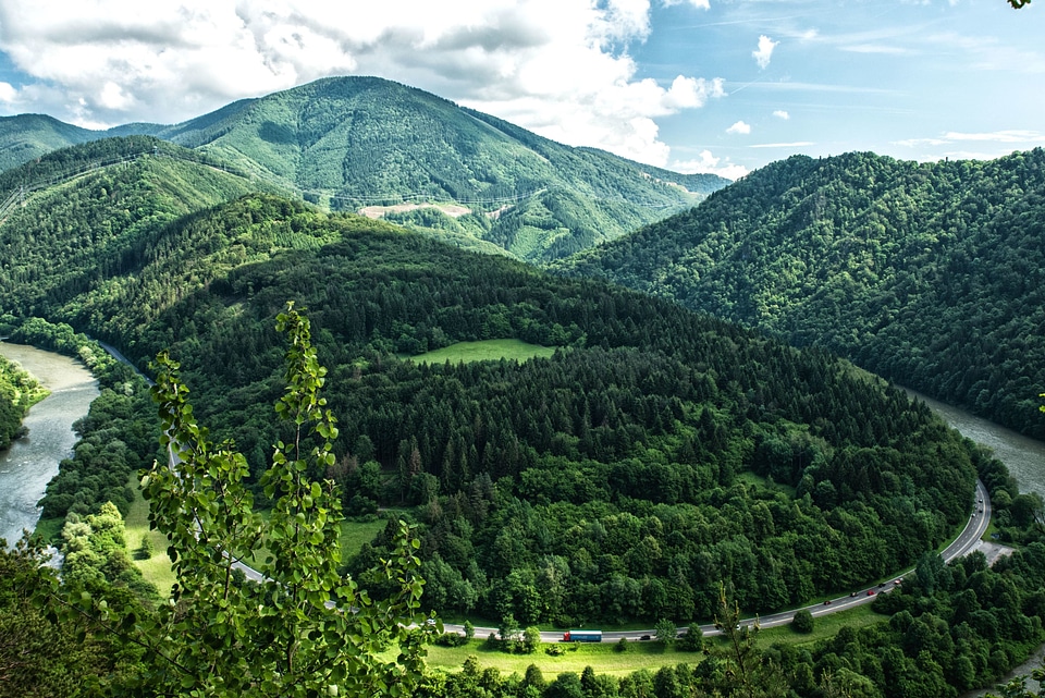 Forest landscape mountain