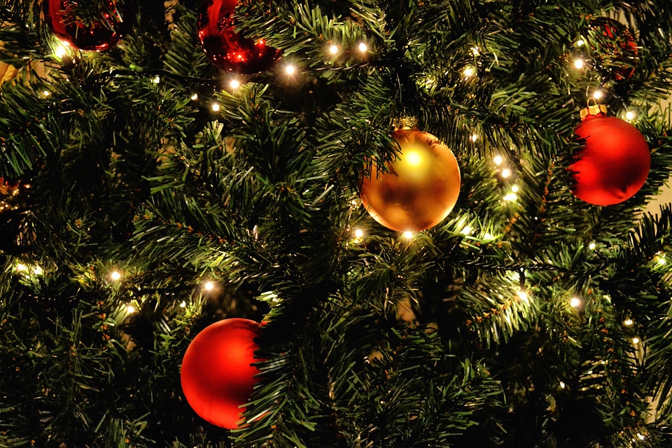 Beautiful Photo christmas spruce