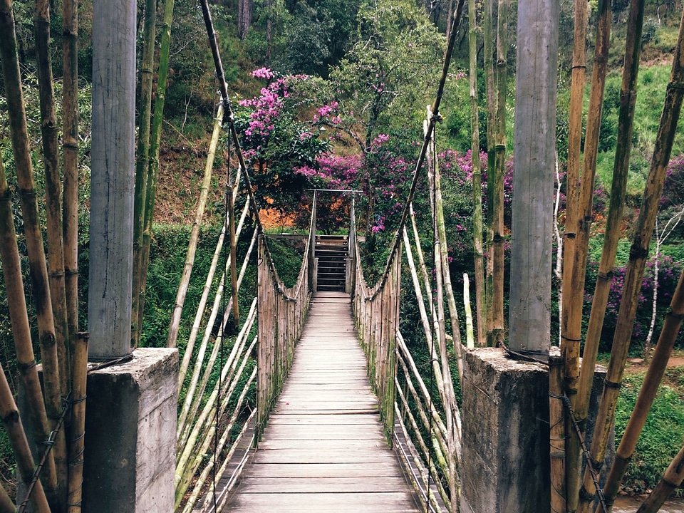 Bridge fence summer