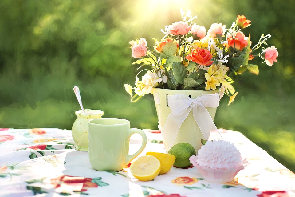 Beautiful Photo cup flowers