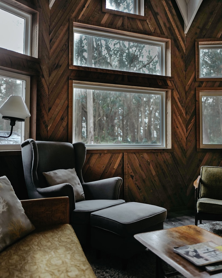 Armchair chair comfort