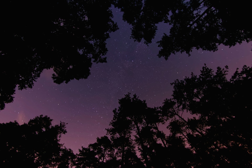 Dark milky way night