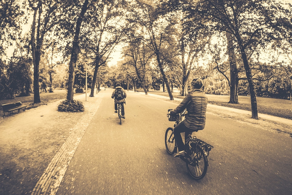 Bench bicycle recreation