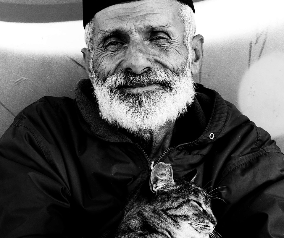 Cat happy old
