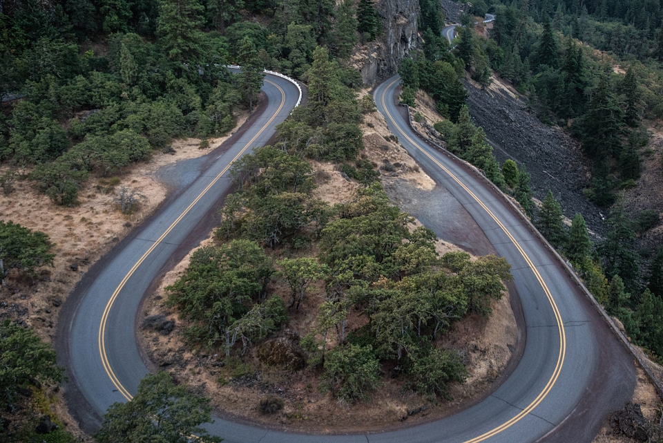 Curve forest nature