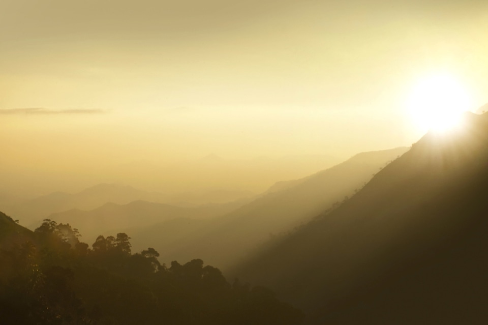 Dawn fog 