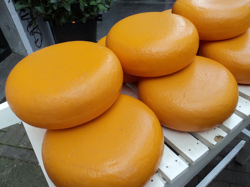 Cheese wheel dairy wheel
