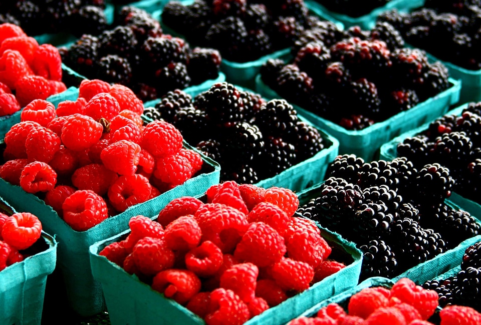 Beautiful Photo berries blackberry