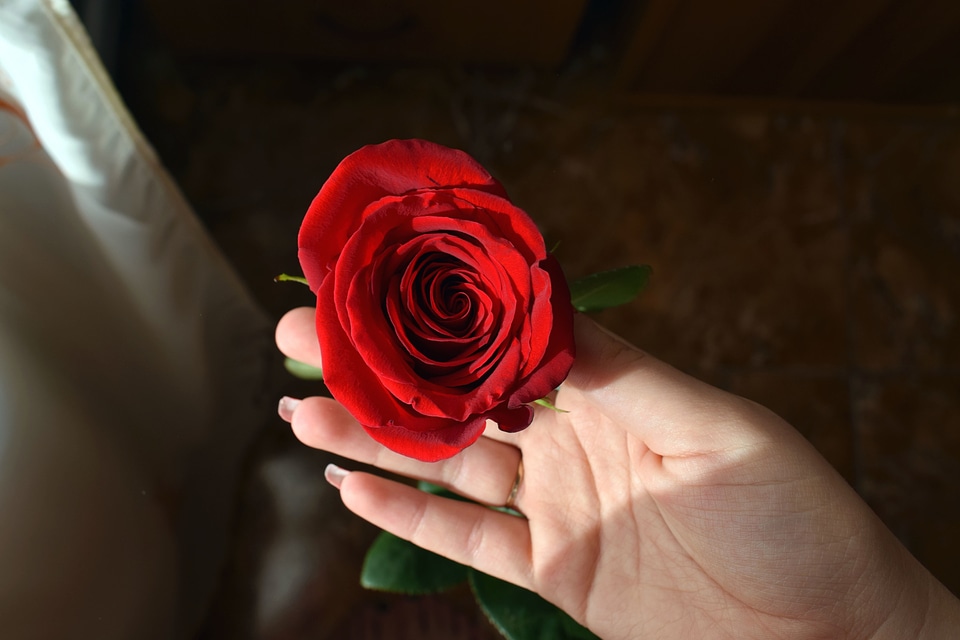 Beautiful Photo bloom hand