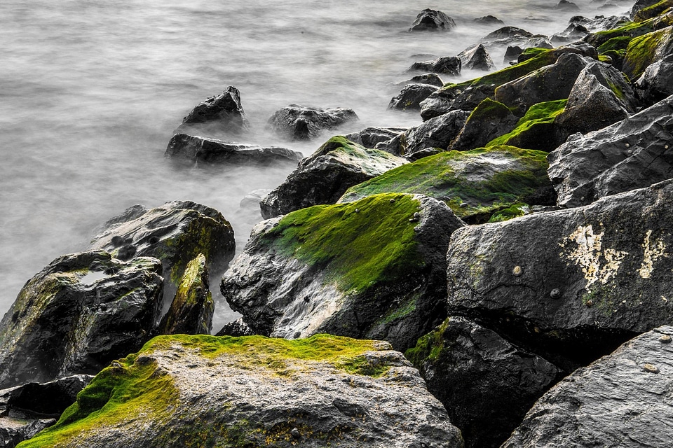 Coast coastline green