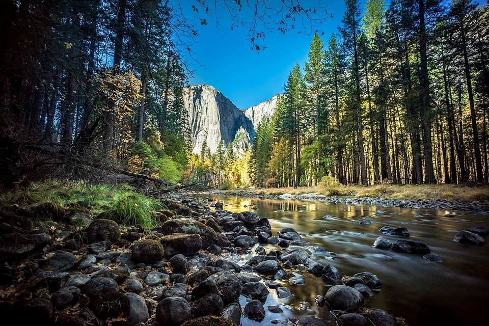 Creek landscape nature