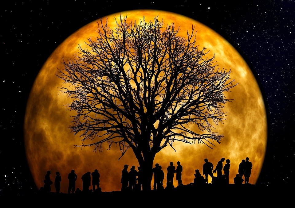 Art dark full moon