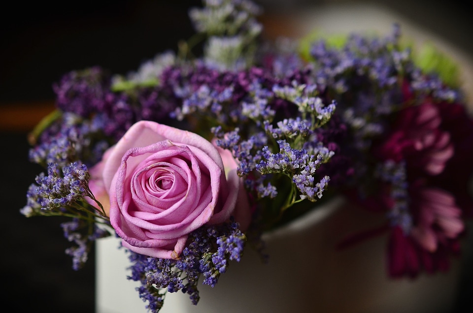 Beautiful Photo pink roses