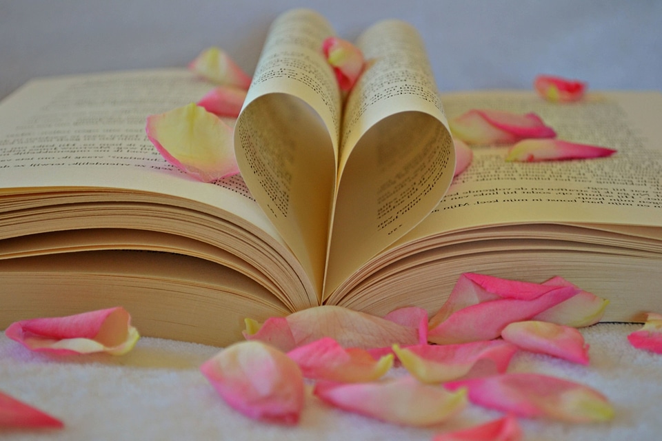 Beautiful Photo literature love