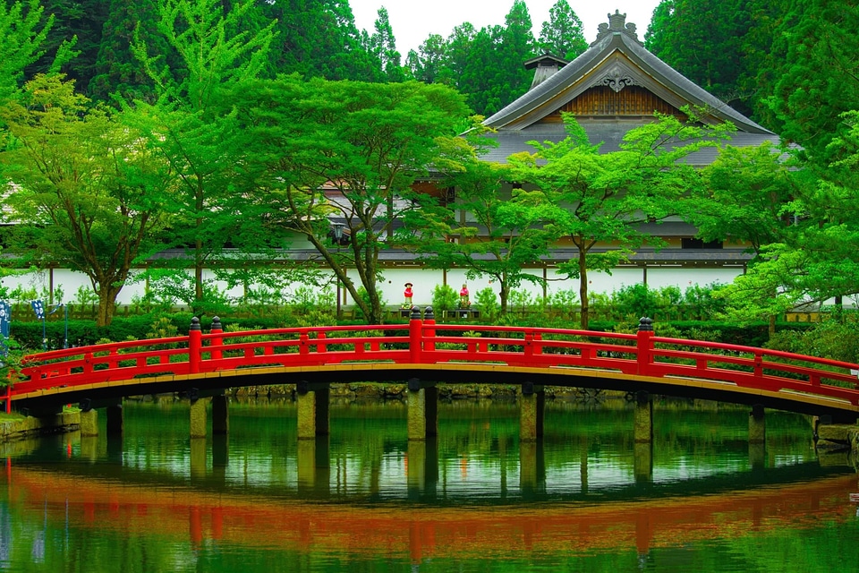 Beautiful Photo bridge wood