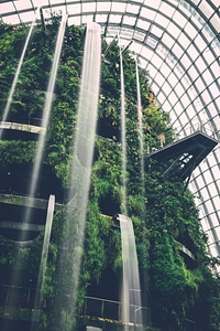 Botanical cascade design