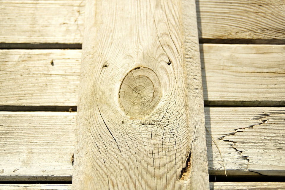 Pattern texture wood