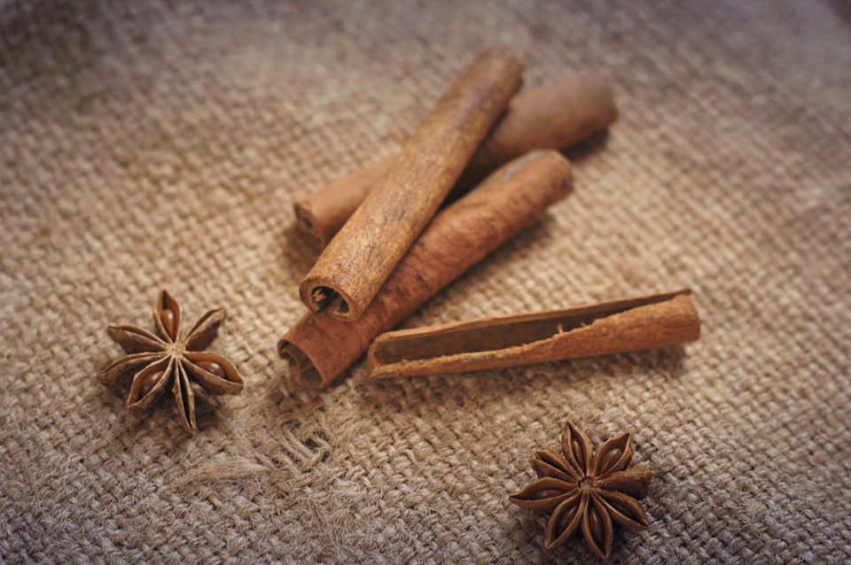 Beautiful Photo cinnamon delicious