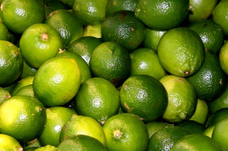 Citrus dietary fruit