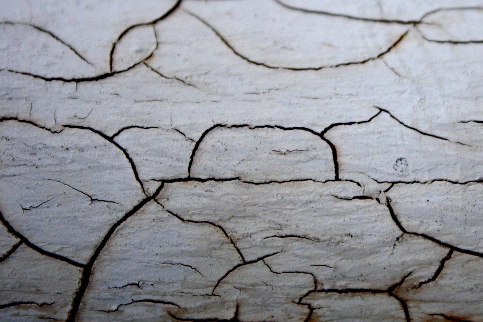 Paint pattern plank