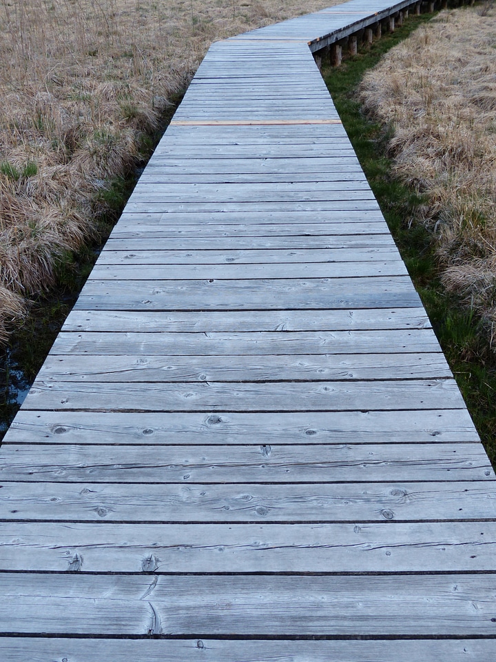 Swamp moorland nature conservation
