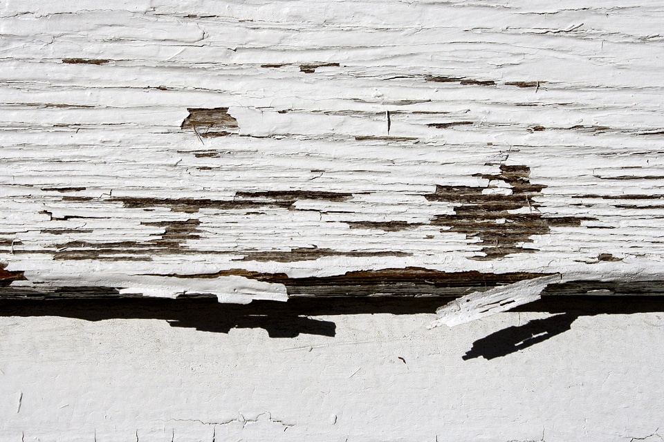 Paint patterns plank