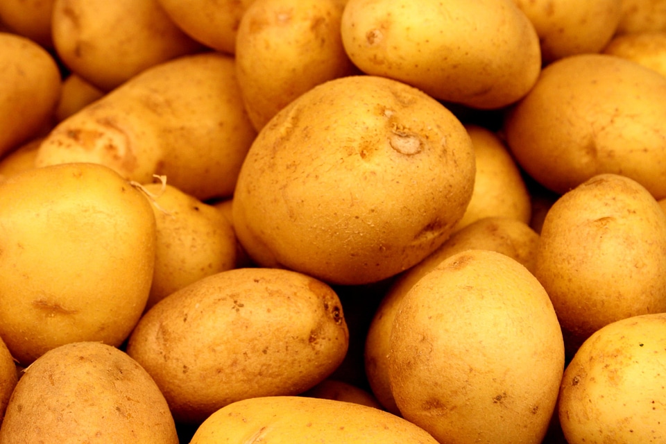 Agriculture food potato