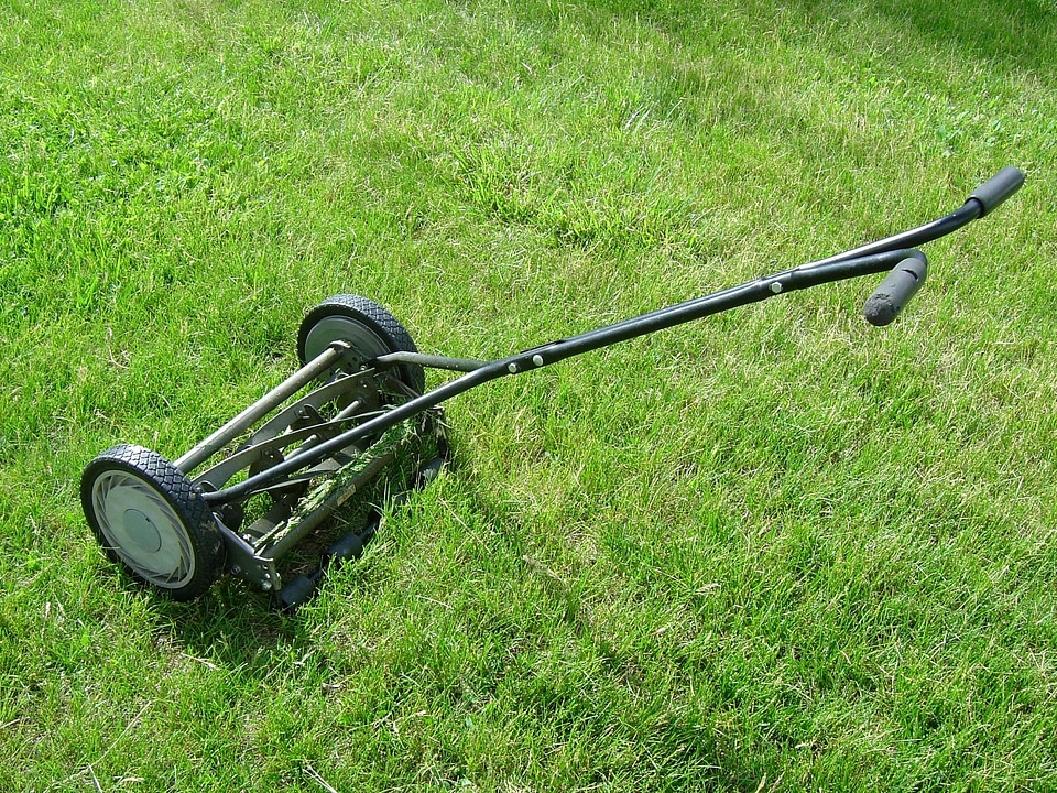 Garden gardening green