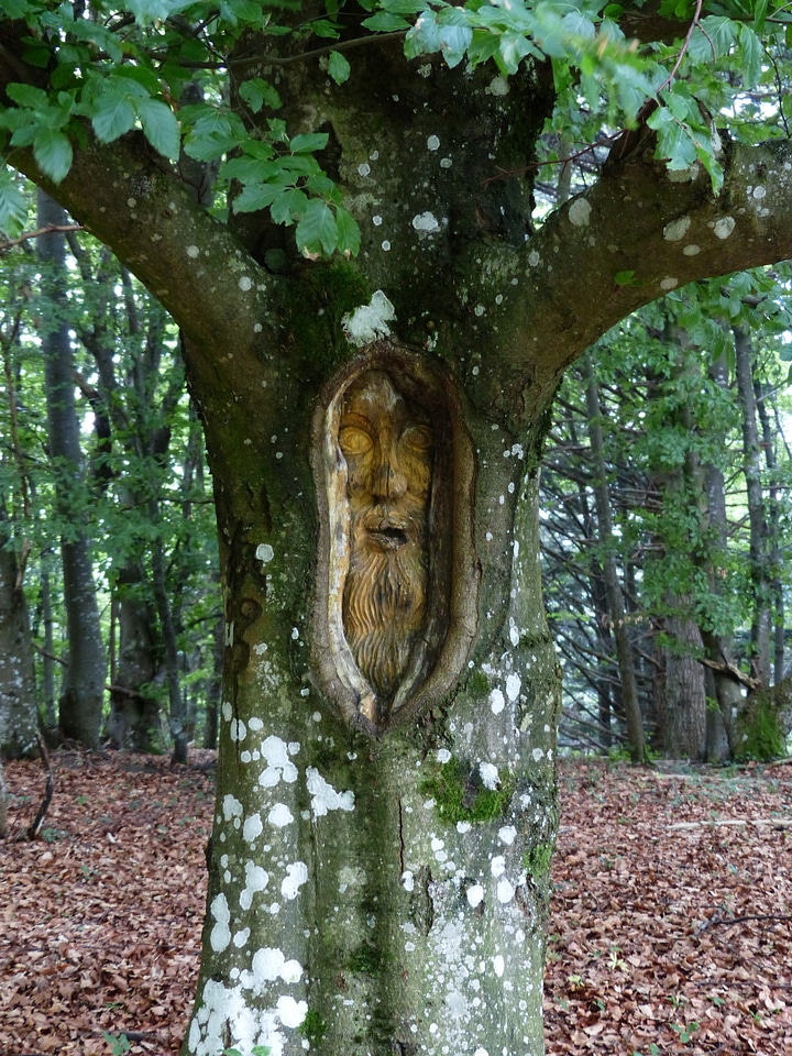 Wood log tree carving