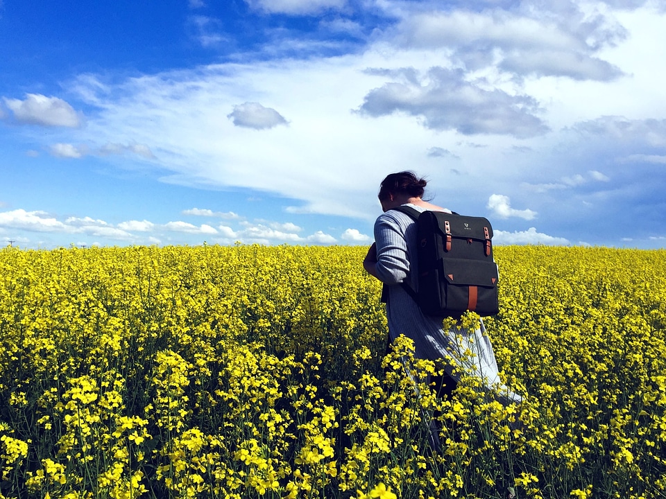 Agriculture backpack beautiful photo