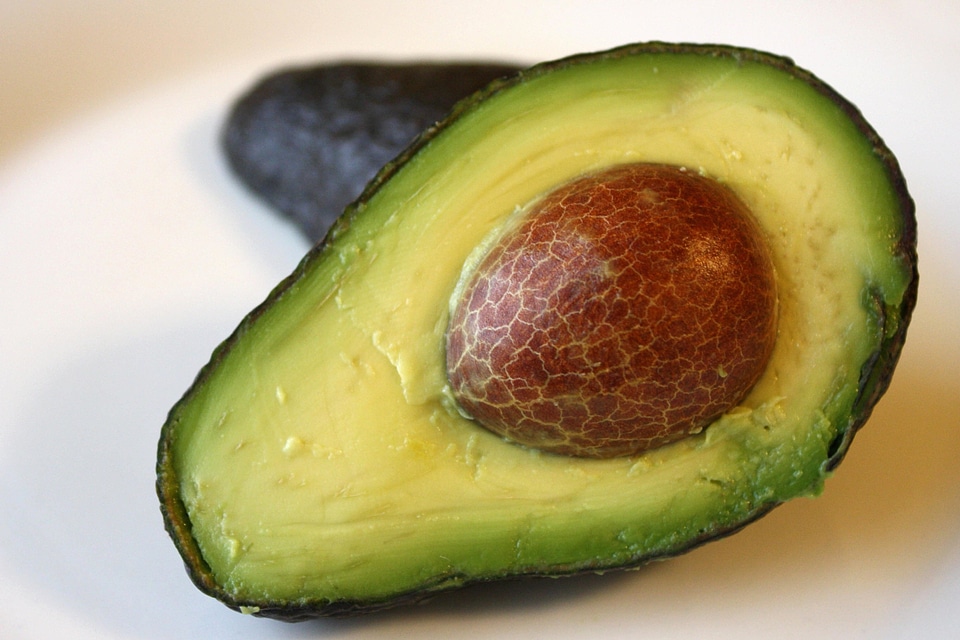 Avocado beautiful photo diet
