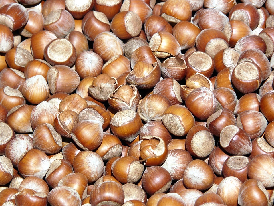 Agriculture diet dietary