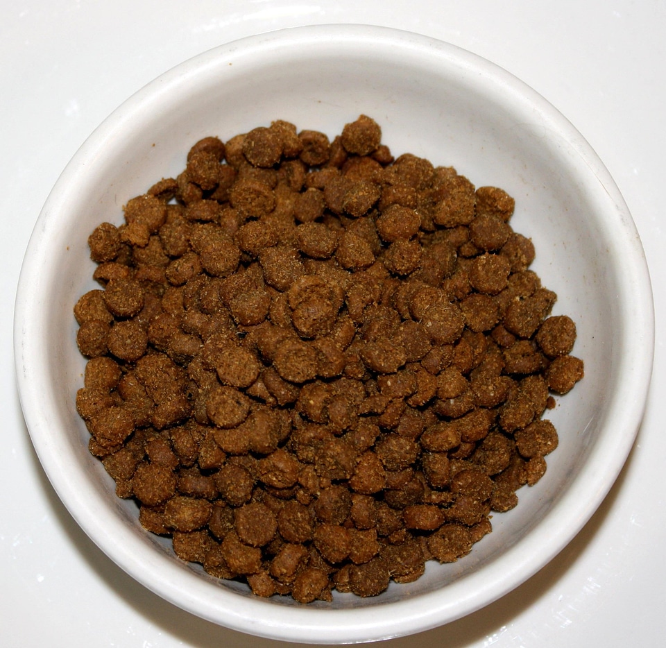 Bowl food 