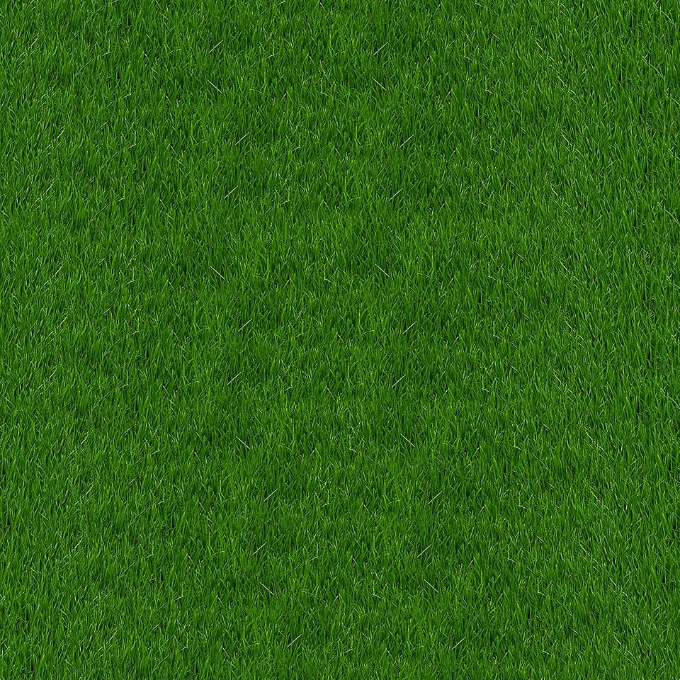 Grass green green leaves