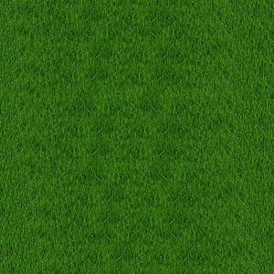 Grass green green leaves photo