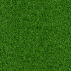 Grass green green leaves