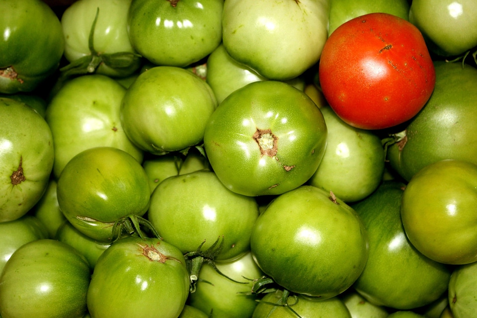 Agriculture diet dietary