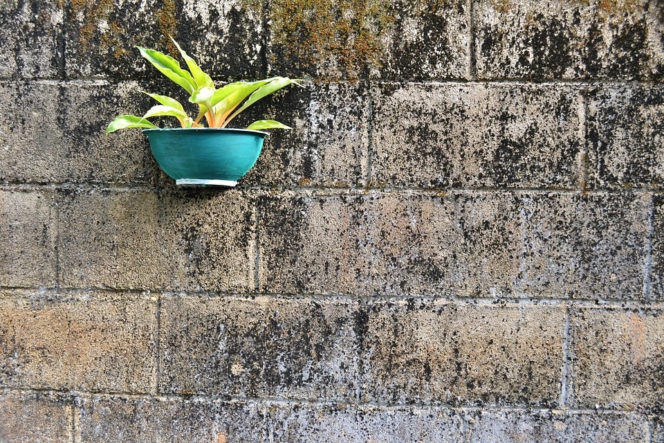 Hanging pot cement pot gardening