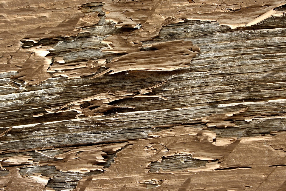 Plank texture wooden