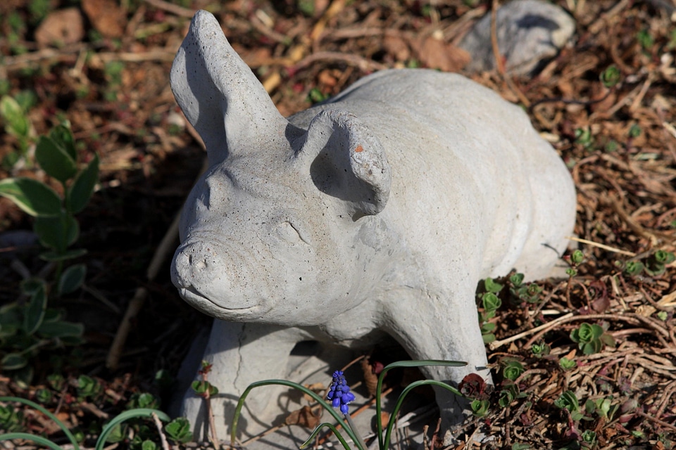 Art backyard cement