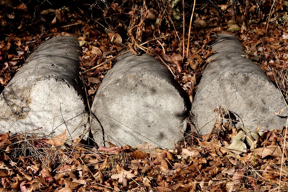 Autumn block cement